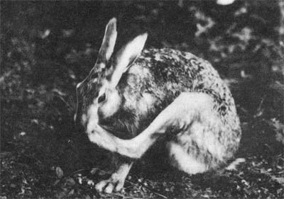 Природа донского края - i_045.jpg