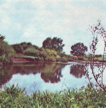 Природа донского края - i_048.jpg