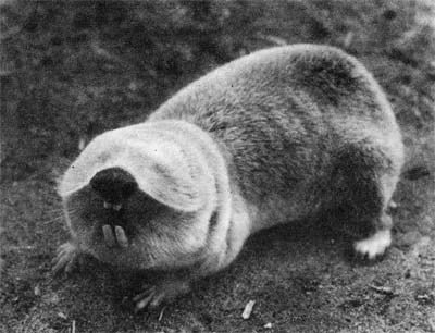 Природа донского края - i_050.jpg