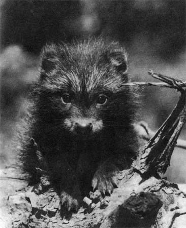 Природа донского края - i_052.jpg