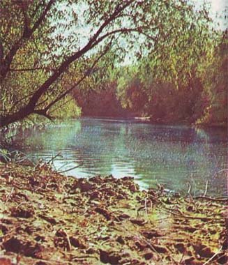 Природа донского края - i_053.jpg