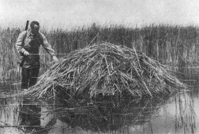 Природа донского края - i_055.jpg