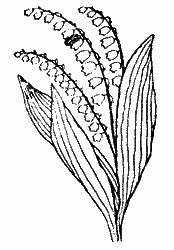 Природа донского края - i_059.png