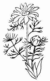 Природа донского края - i_062.png