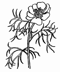 Природа донского края - i_063.png