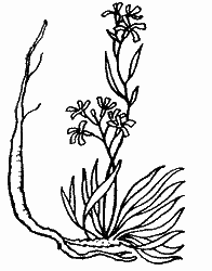 Природа донского края - i_065.png