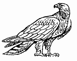 Природа донского края - i_070.png