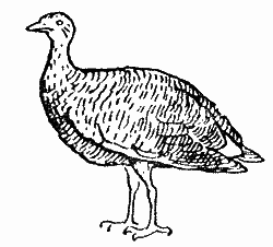 Природа донского края - i_071.png