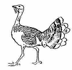 Природа донского края - i_072.png