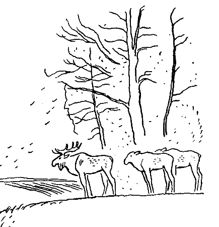 Природа донского края - i_101.png