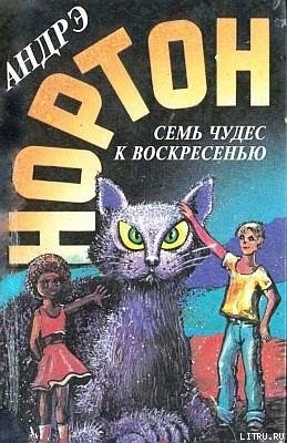 Читать онлайн книгу Семь чудес к воскресенью автор Нортон Андрэ Книга Семь чудес к воскресенью
