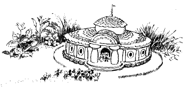 Приключения Незнайки и его друзей (с иллюстрациями) - image014.png