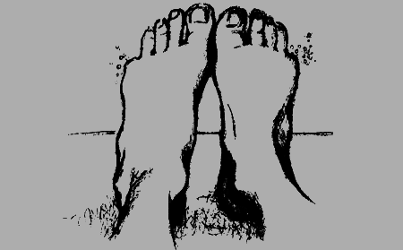 Цветник бабушки Корицы - img11.png