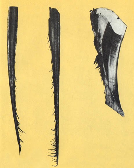 Кит - doc2fb_image_02000014.jpg