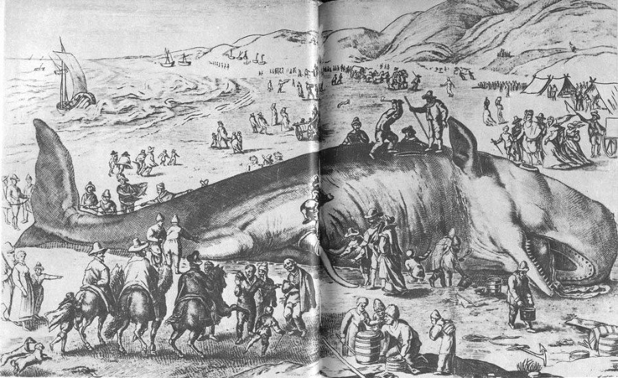 Кит - doc2fb_image_02000015.jpg