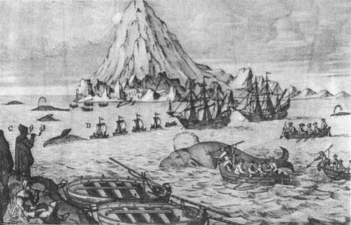 Кит - doc2fb_image_02000052.jpg