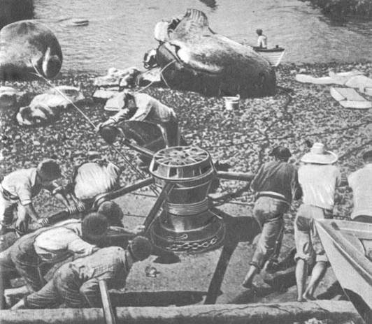 Кит - doc2fb_image_02000062.jpg