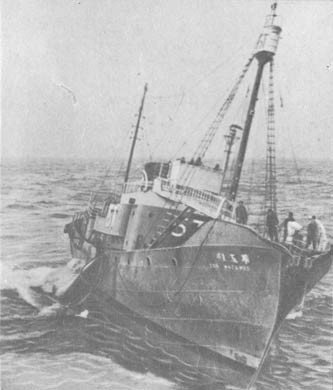 Кит - doc2fb_image_02000067.jpg