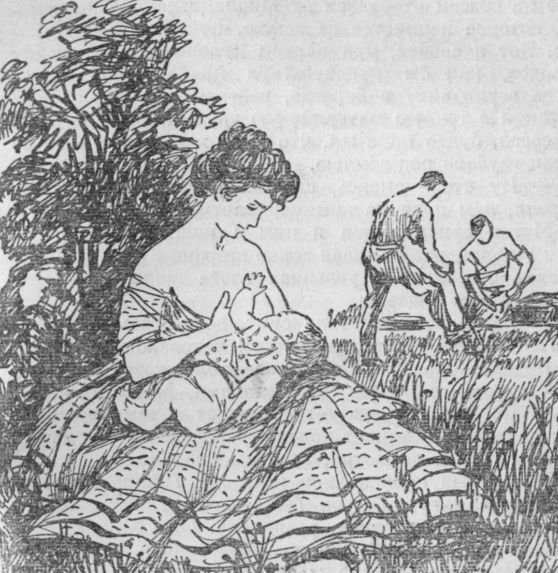 Собрание сочинений. Т. 20. Плодовитость - i_020.jpg