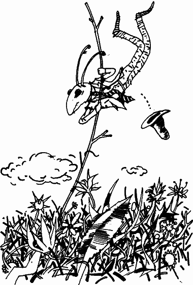 Солнце в корзинке - nonjpegpng__8.png