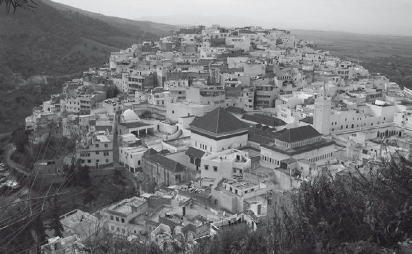 История ислама. Исламская цивилизация от рождения до наших дней - i_069.jpg