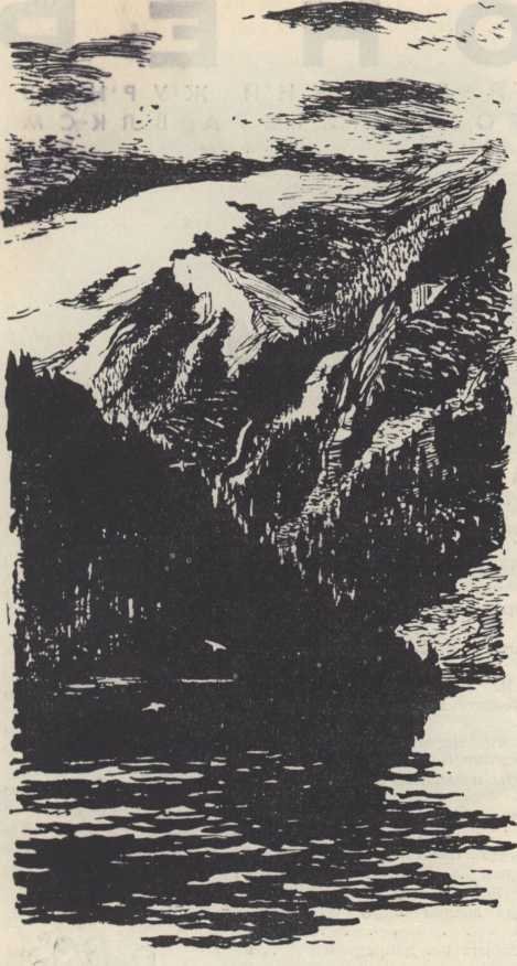 На озере Светлом - _1.jpg