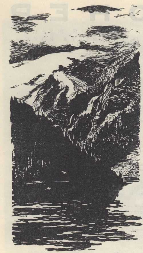 На озере Светлом - _12.jpg