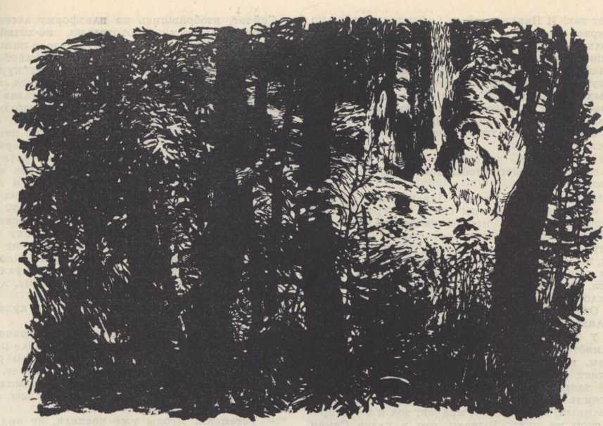 На озере Светлом - _4.jpg