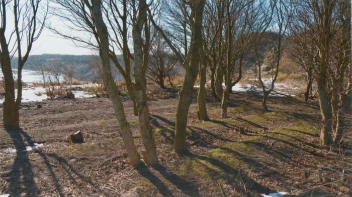 Сияние Вышних Богов и крамешники - f15.jpg