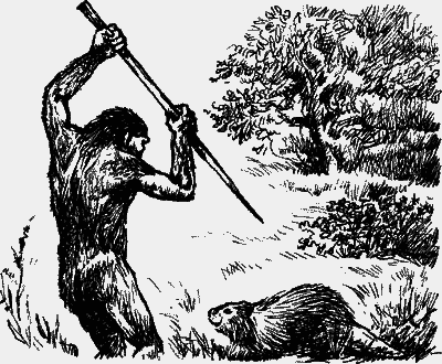 Великие открытия - any2fbimgloader25.png