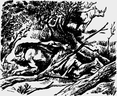 Великие открытия - any2fbimgloader48.png