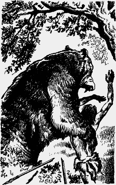 Великие открытия - any2fbimgloader61.png