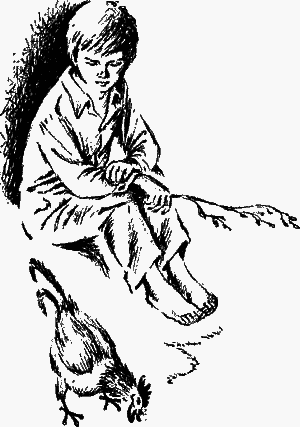 Лазоревый петух моего детства (сборник) - i_001.png