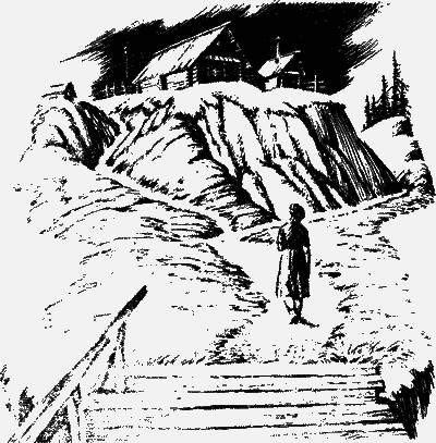 Лазоревый петух моего детства (сборник) - i_006.png