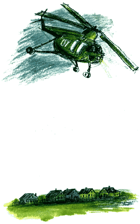 Рябиновое солнце - img04.png