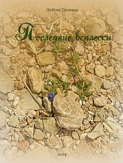 Читать онлайн книгу Последние всплески автор Тильман Любовь Книга Последние всплески
