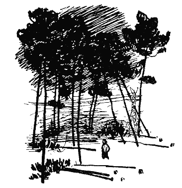 Рассказы прошлого лета - i_015.png