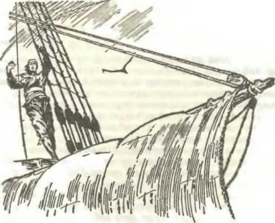 Избранные сочинения в 9 томах. Том 5 Браво; Морская волшебница - _45.jpg