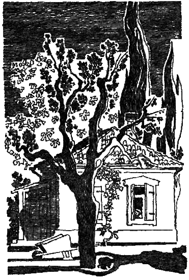 Фея горького миндаля - i_012.png