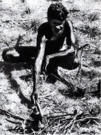 Австралия и острова Тихого океана - _114.jpg