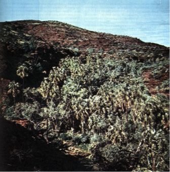 Австралия и острова Тихого океана - _113.jpg