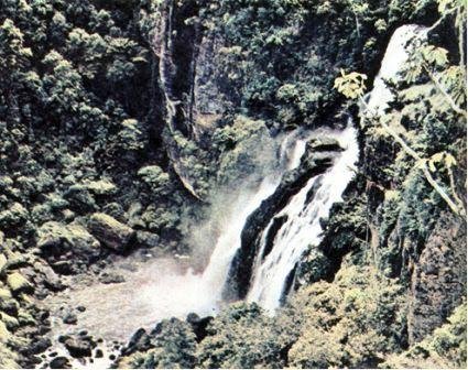 Австралия и острова Тихого океана - _161.jpg