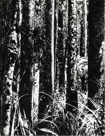 Австралия и острова Тихого океана - _173.jpg