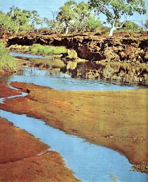 Австралия и острова Тихого океана - _23.jpg