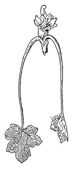 По тундрам, лесам, степям и пустыням - _12.jpg