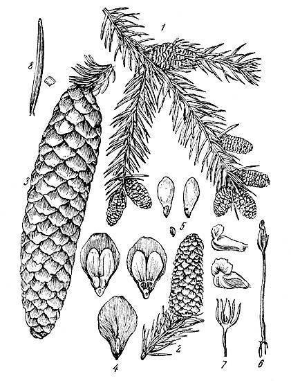 По тундрам, лесам, степям и пустыням - _20.jpg