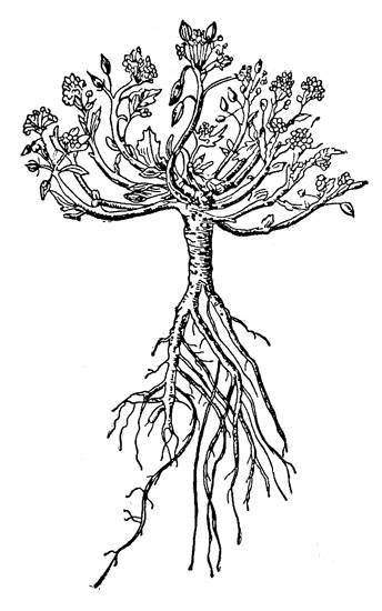 По тундрам, лесам, степям и пустыням - _15.jpg