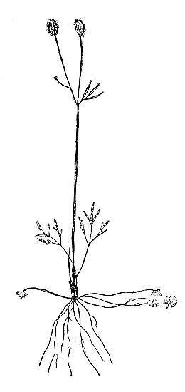 По тундрам, лесам, степям и пустыням - _97.jpg