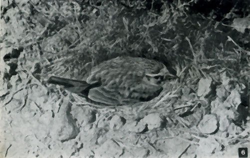 Неведомый Памир - doc2fb_image_02000009.jpg