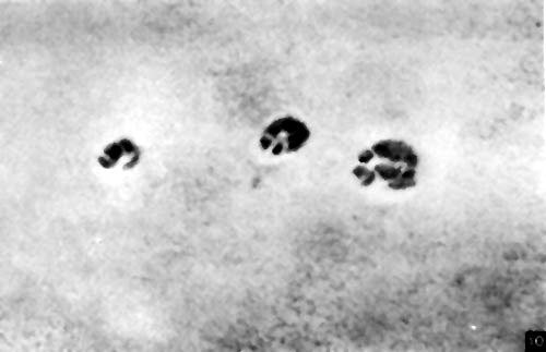 Неведомый Памир - doc2fb_image_0200000E.jpg